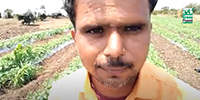 Green Planet Best Result on Chilli